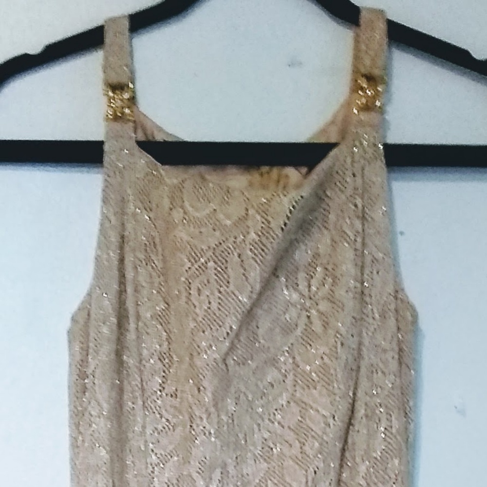 Betsy & Adam By Jaslene Shimmering Maxi Dress